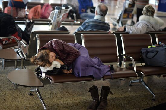 Russia suspends flights to Egypt