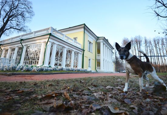 Gorki Leninskiye Estate re-opens after renovations