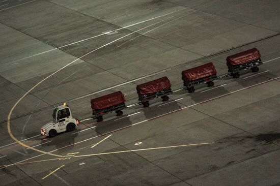 Moscow receives first flight bringing back Egypt-leaving Russian tourists' baggage