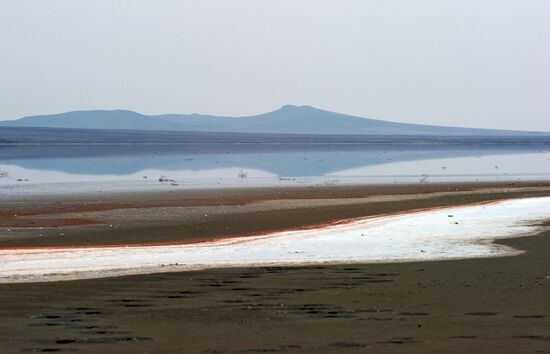 Koyashskoe lake