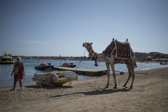 Tourists outflow from Egypt