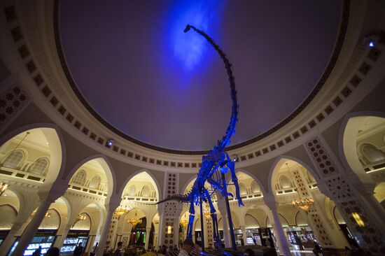 Cities of the world. Dubai