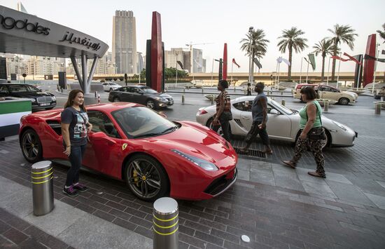 Cities of the world. Dubai