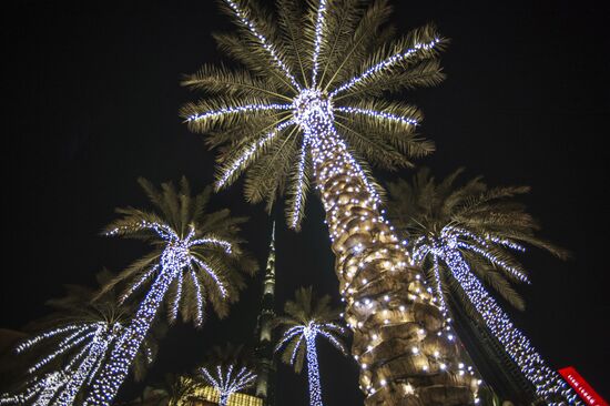 Cities of the world. Dubai