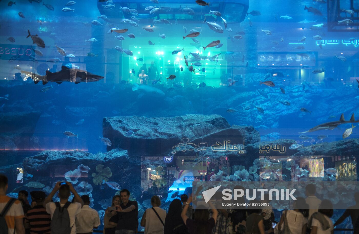 The Dubai Aquarium & Underwater Zoo