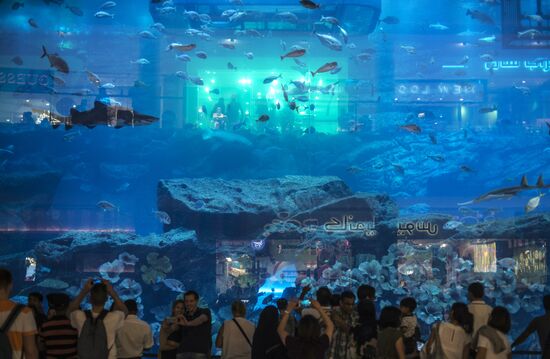 The Dubai Aquarium & Underwater Zoo