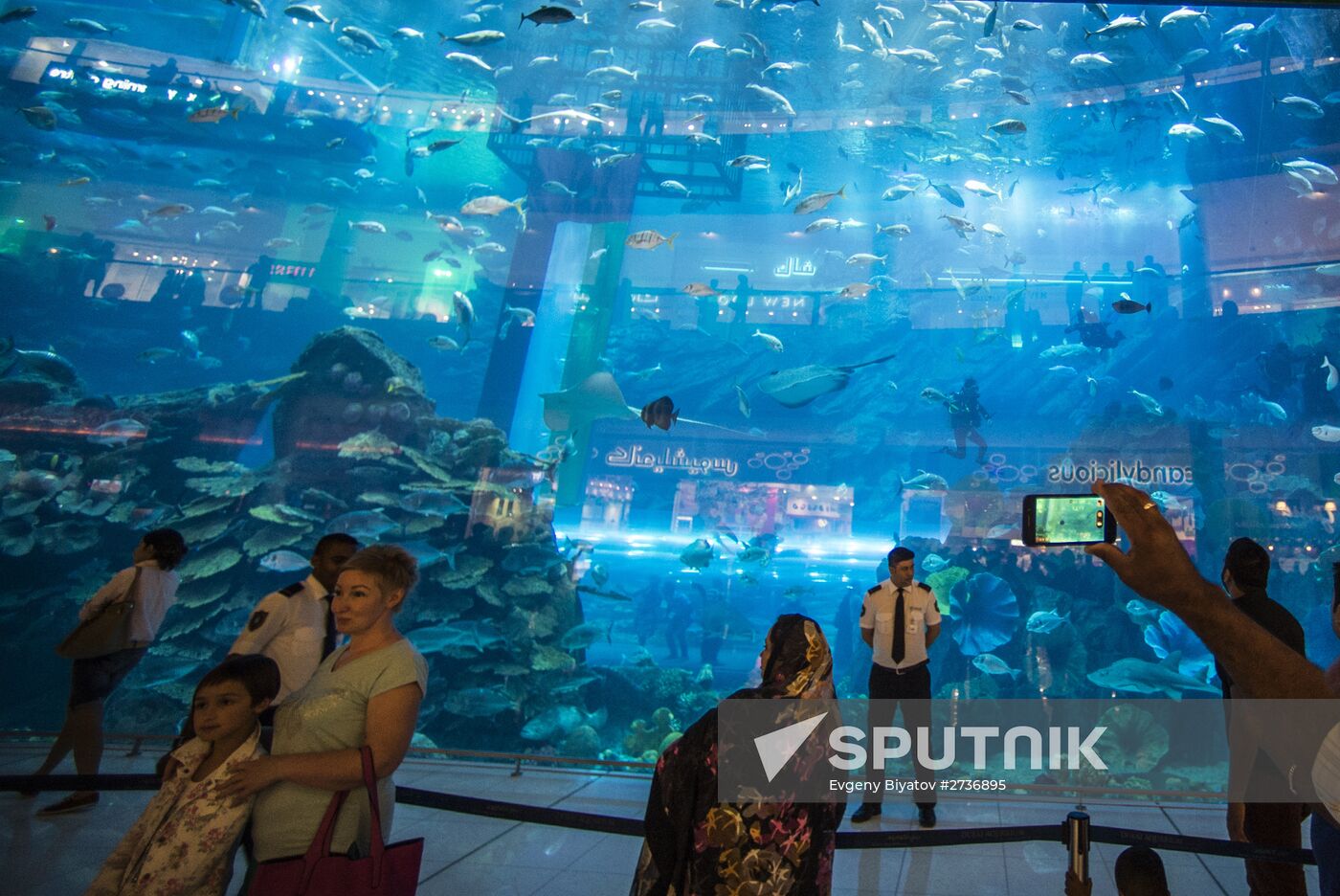 The Dubai Aquarium & Underwater Zoo