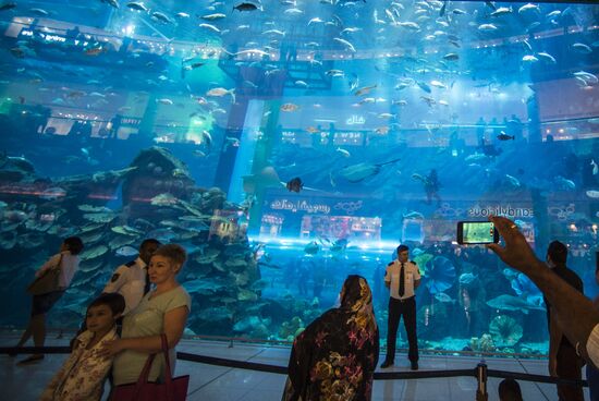 The Dubai Aquarium & Underwater Zoo