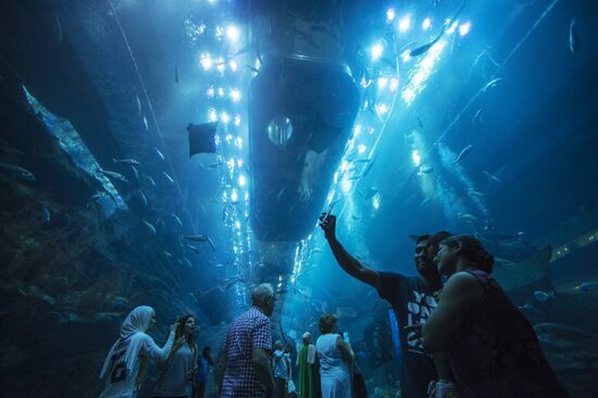 The Dubai Aquarium & Underwater Zoo