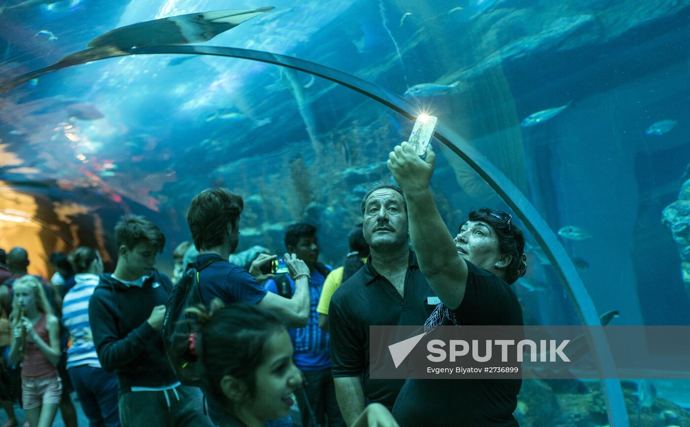 The Dubai Aquarium & Underwater Zoo