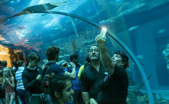 The Dubai Aquarium & Underwater Zoo