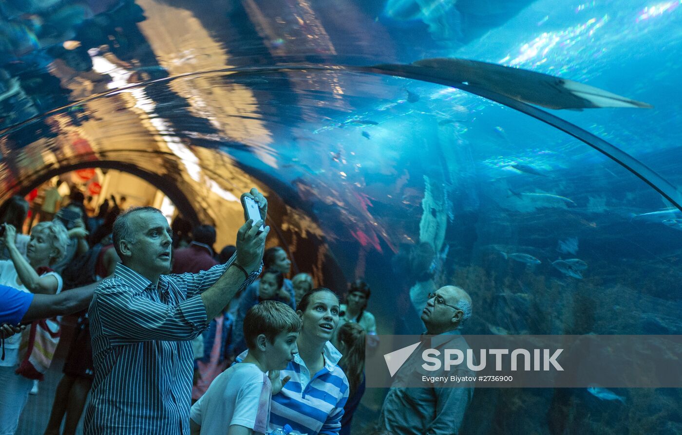 The Dubai Aquarium & Underwater Zoo