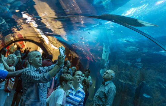 The Dubai Aquarium & Underwater Zoo