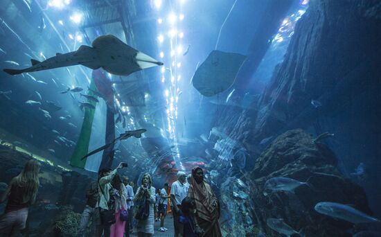 The Dubai Aquarium & Underwater Zoo