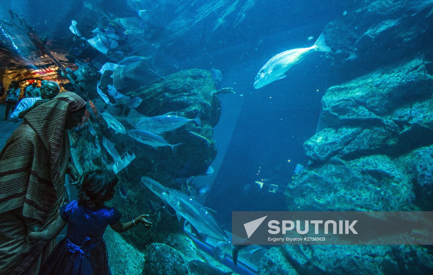The Dubai Aquarium & Underwater Zoo