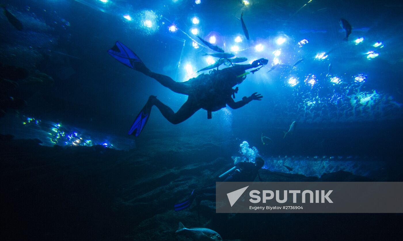 The Dubai Aquarium & Underwater Zoo