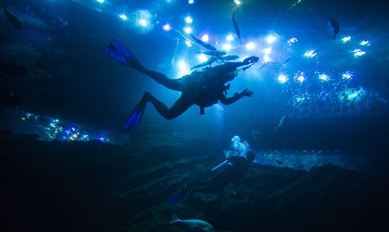 The Dubai Aquarium & Underwater Zoo