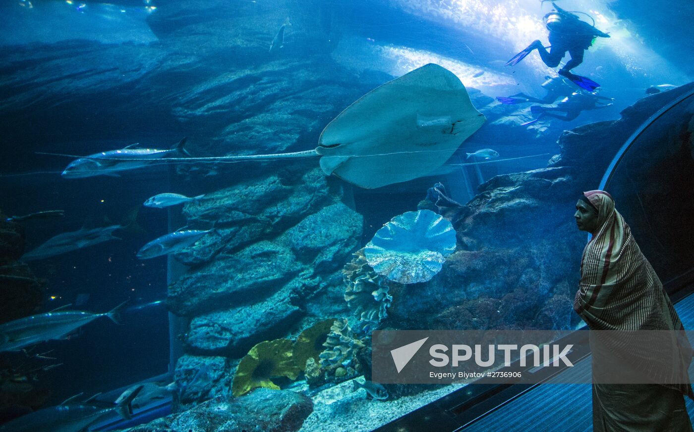 Dubai Aquarium and Underwater Zoo