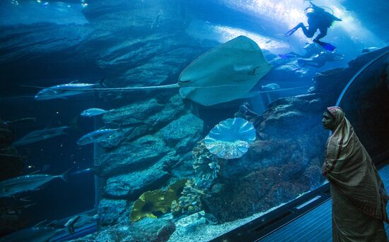 Dubai Aquarium and Underwater Zoo