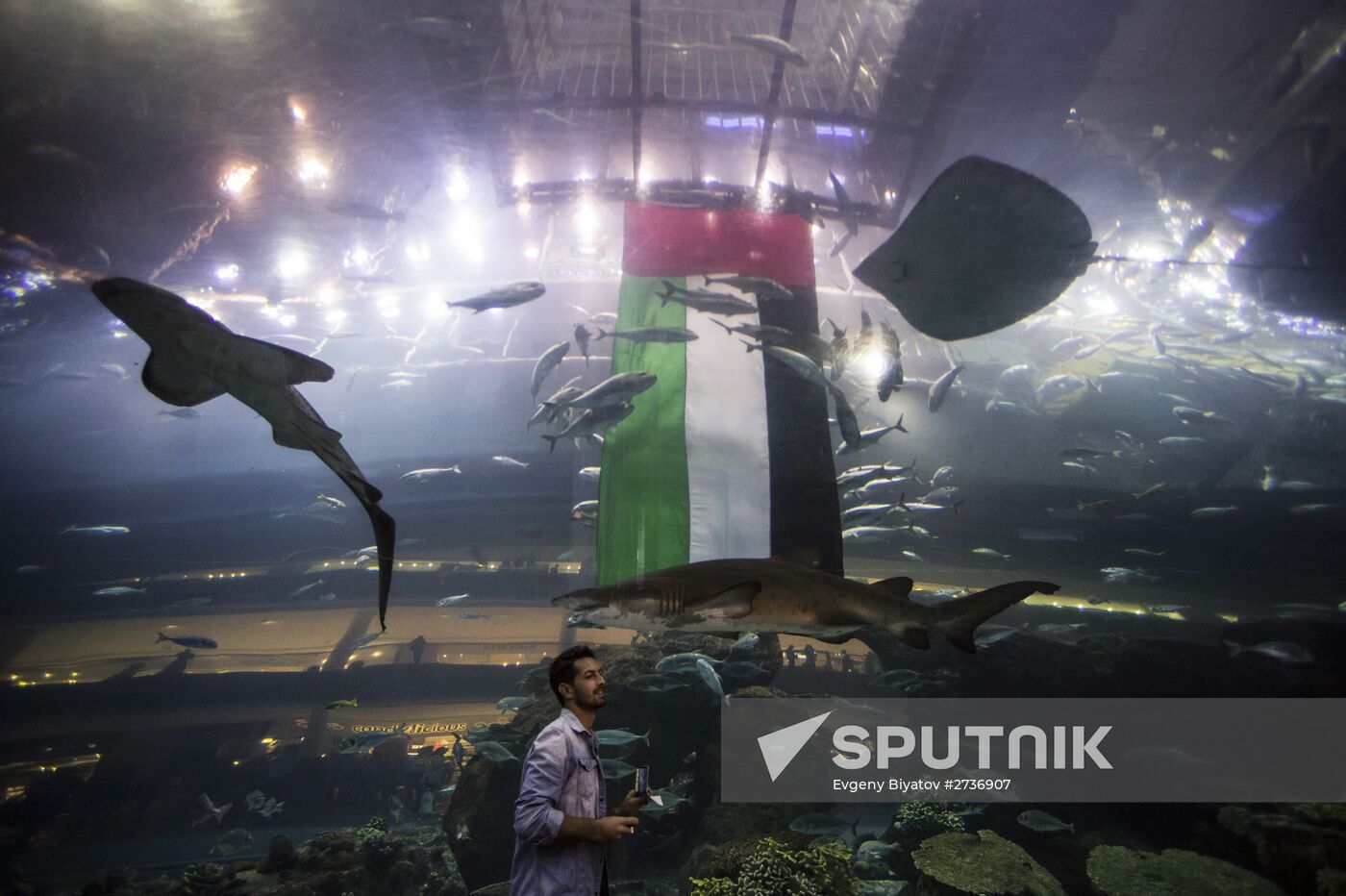 Dubai Aquarium and Underwater Zoo