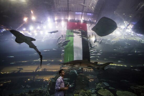 Dubai Aquarium and Underwater Zoo