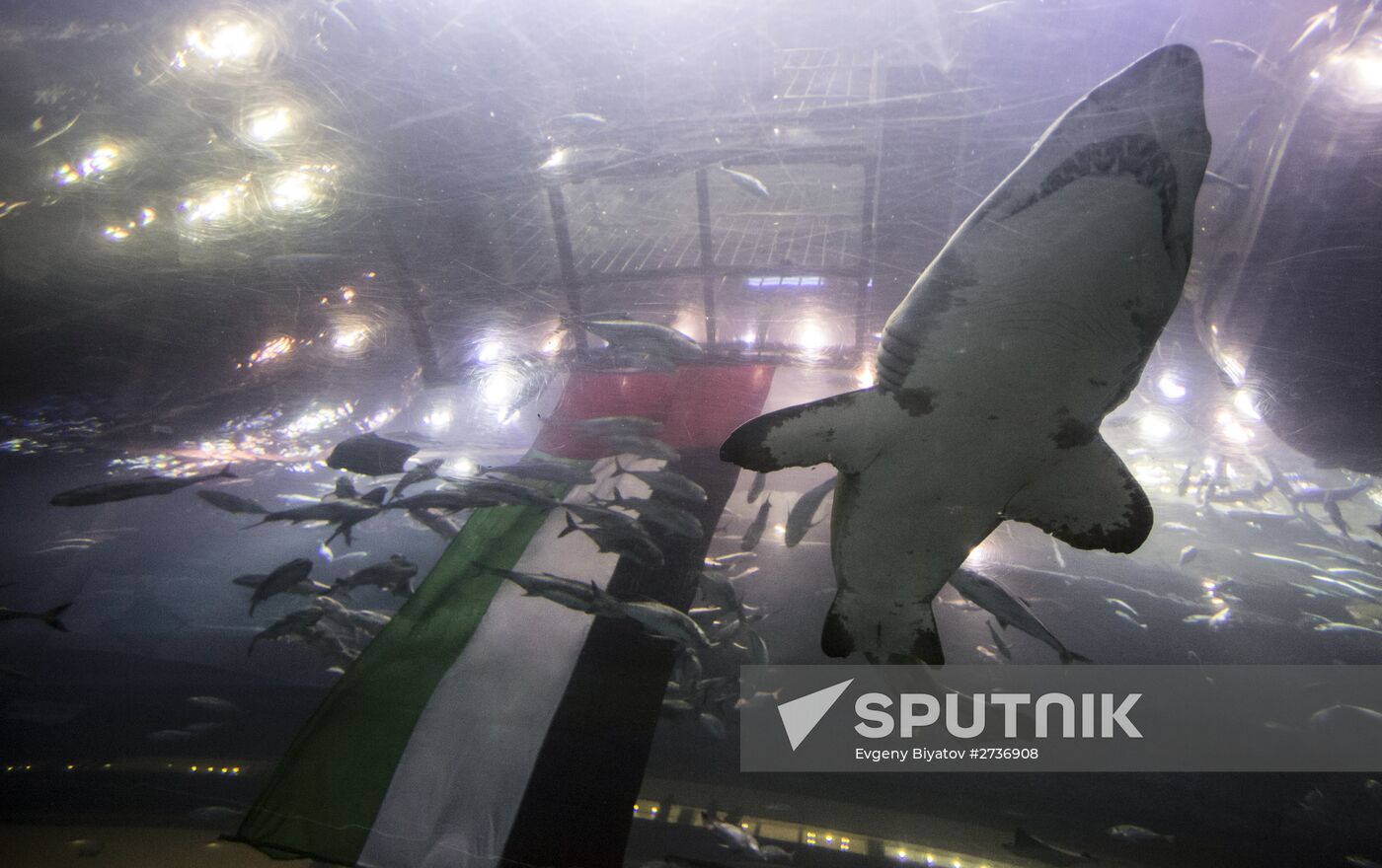 Dubai Aquarium and Underwater Zoo