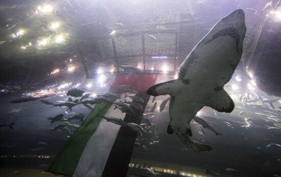 Dubai Aquarium and Underwater Zoo