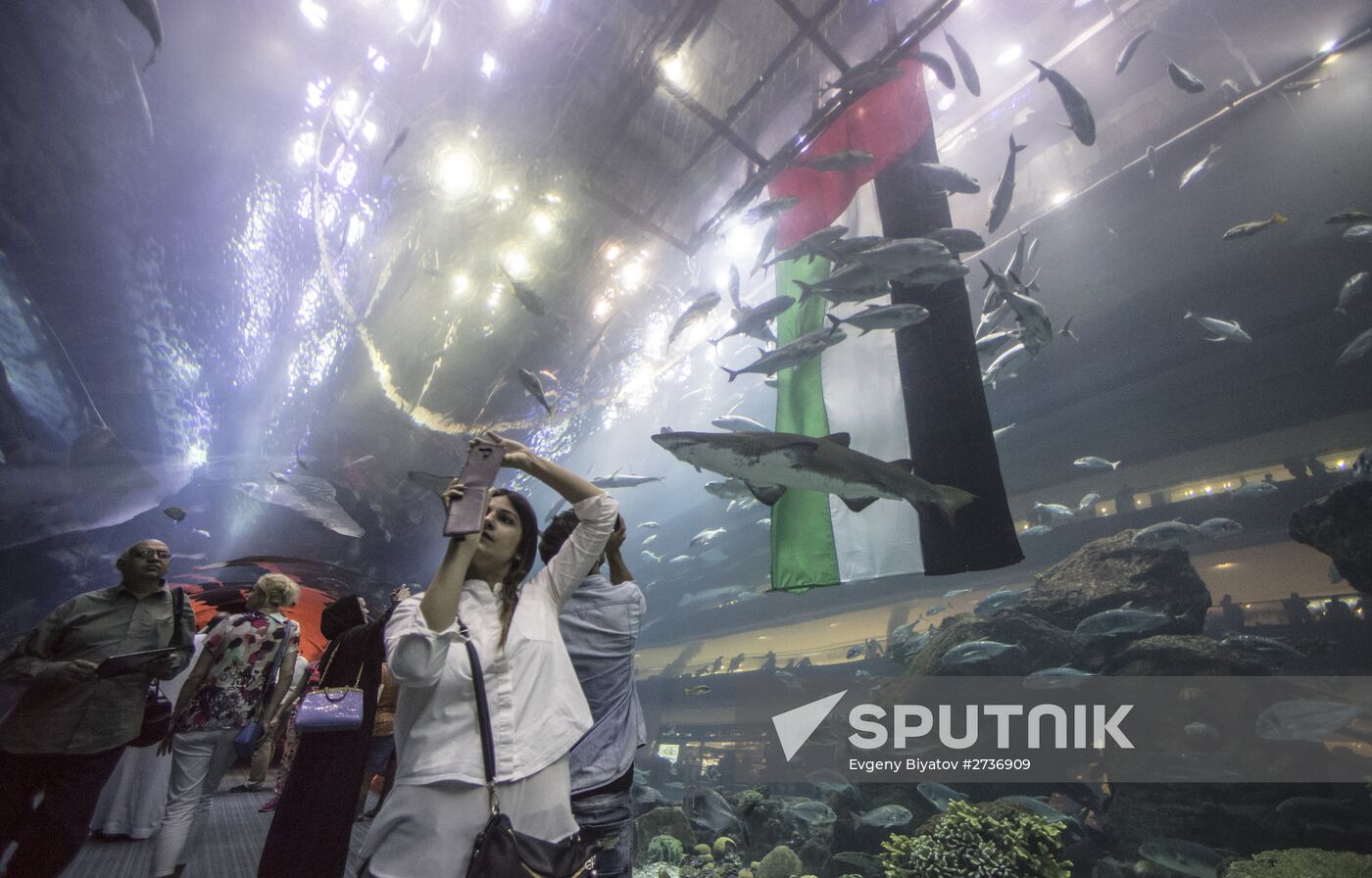 Dubai Aquarium and Underwater Zoo