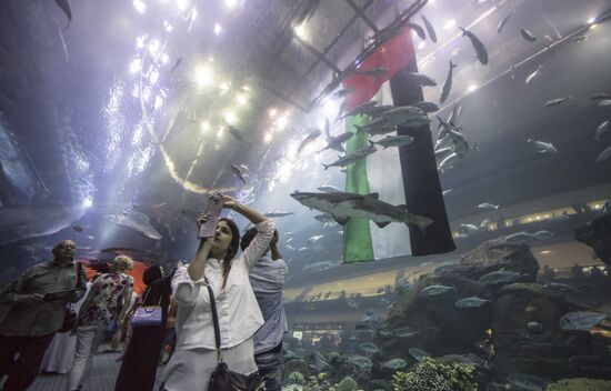 Dubai Aquarium and Underwater Zoo