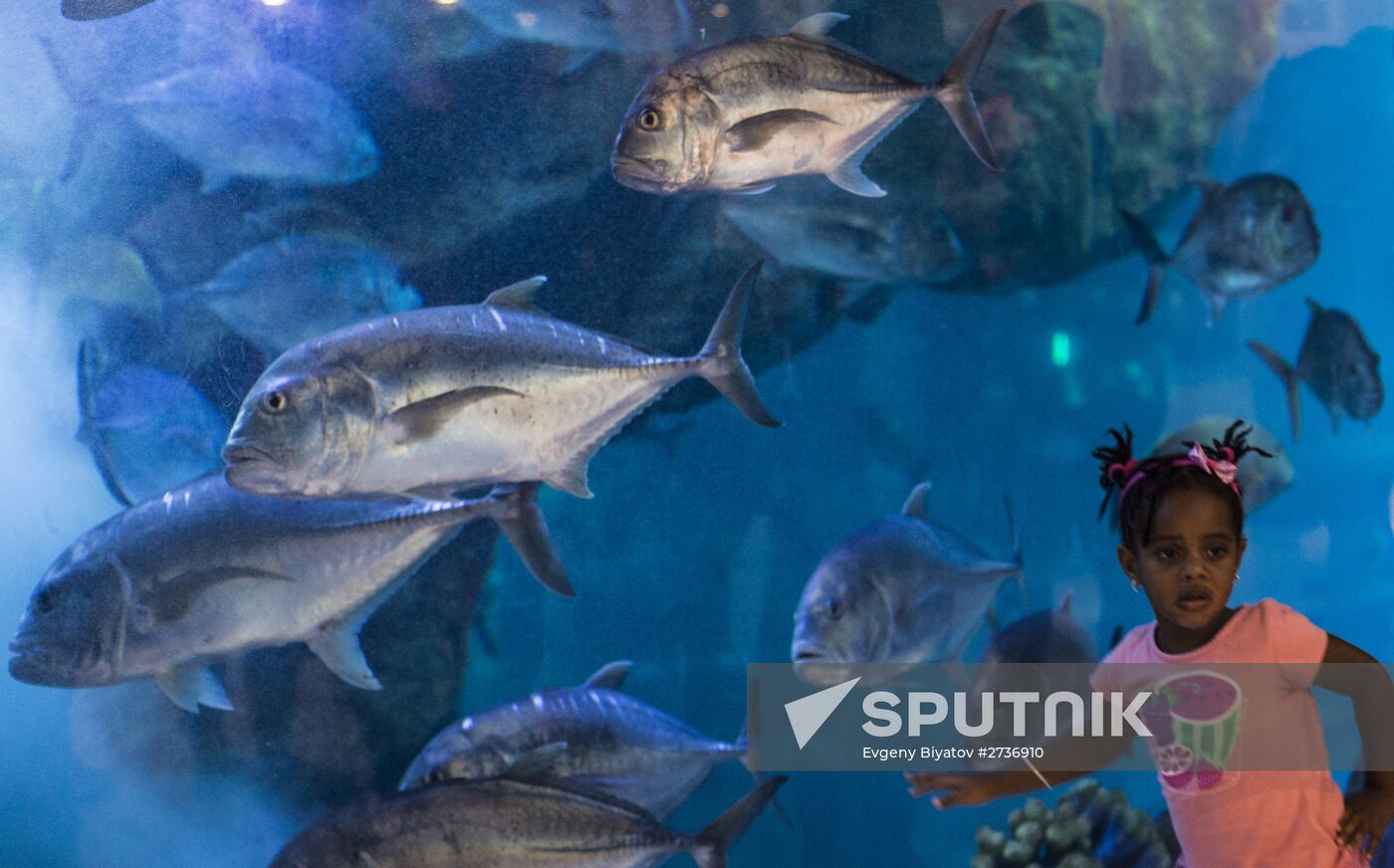 Dubai Aquarium and Underwater Zoo