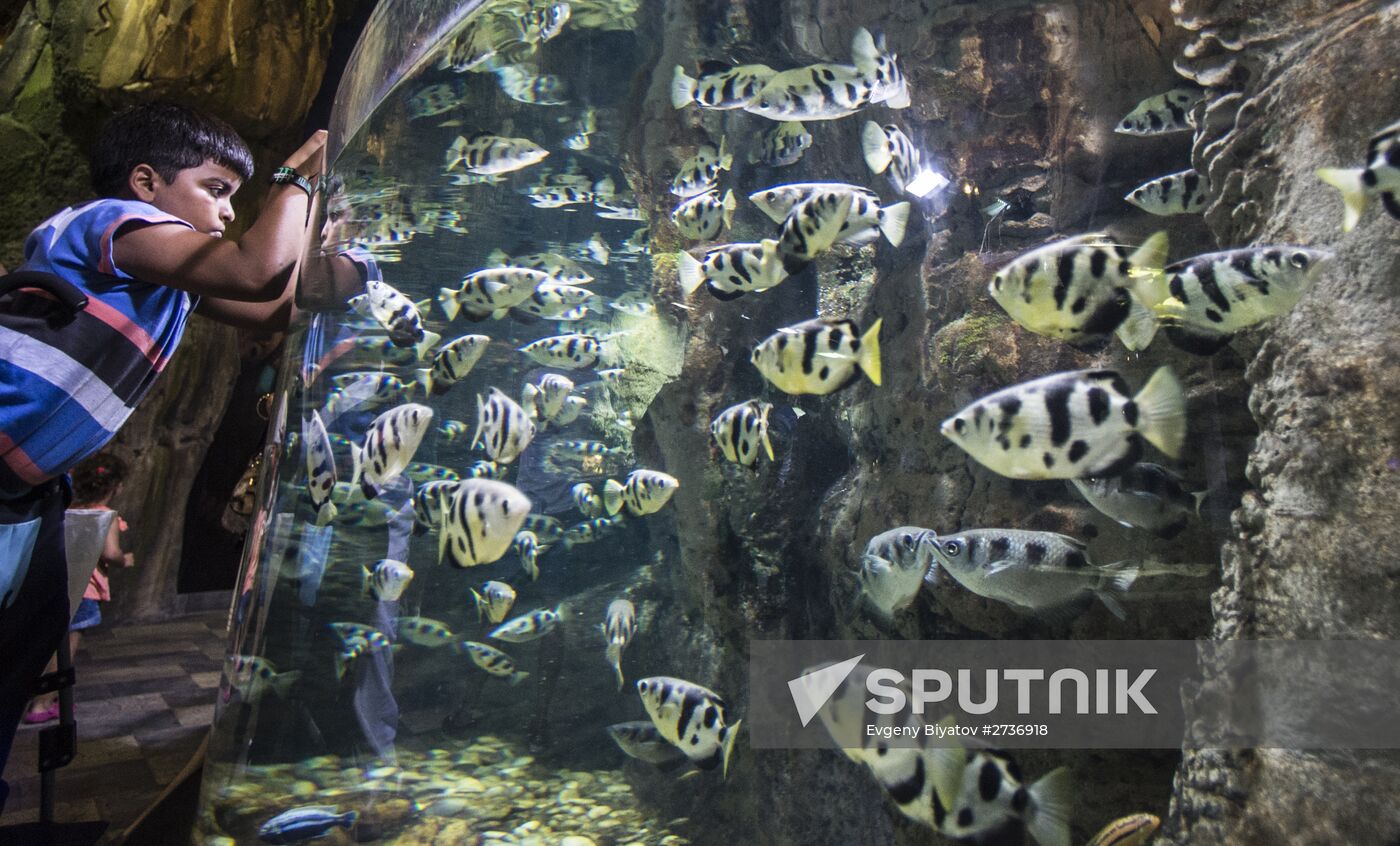 Dubai Aquarium and Underwater Zoo