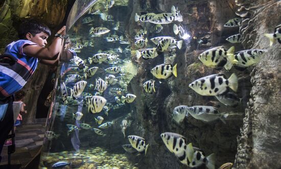 Dubai Aquarium and Underwater Zoo