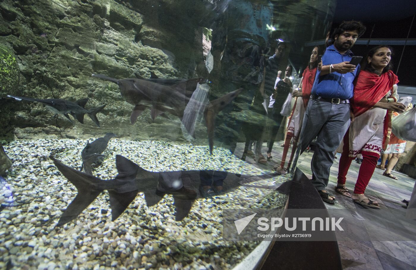 Dubai Aquarium and Underwater Zoo