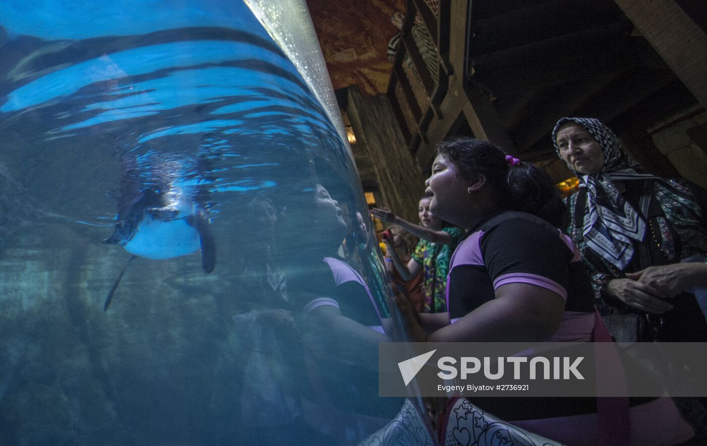 Dubai Aquarium and Underwater Zoo