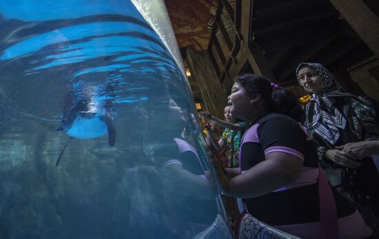 Dubai Aquarium and Underwater Zoo