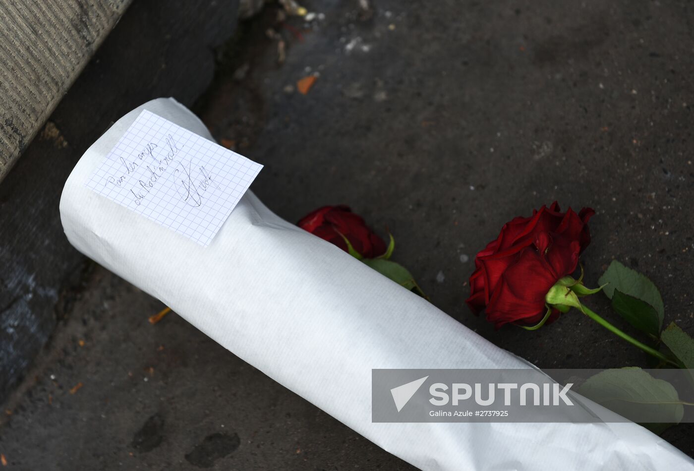 Situation in Paris after series of terror attacks