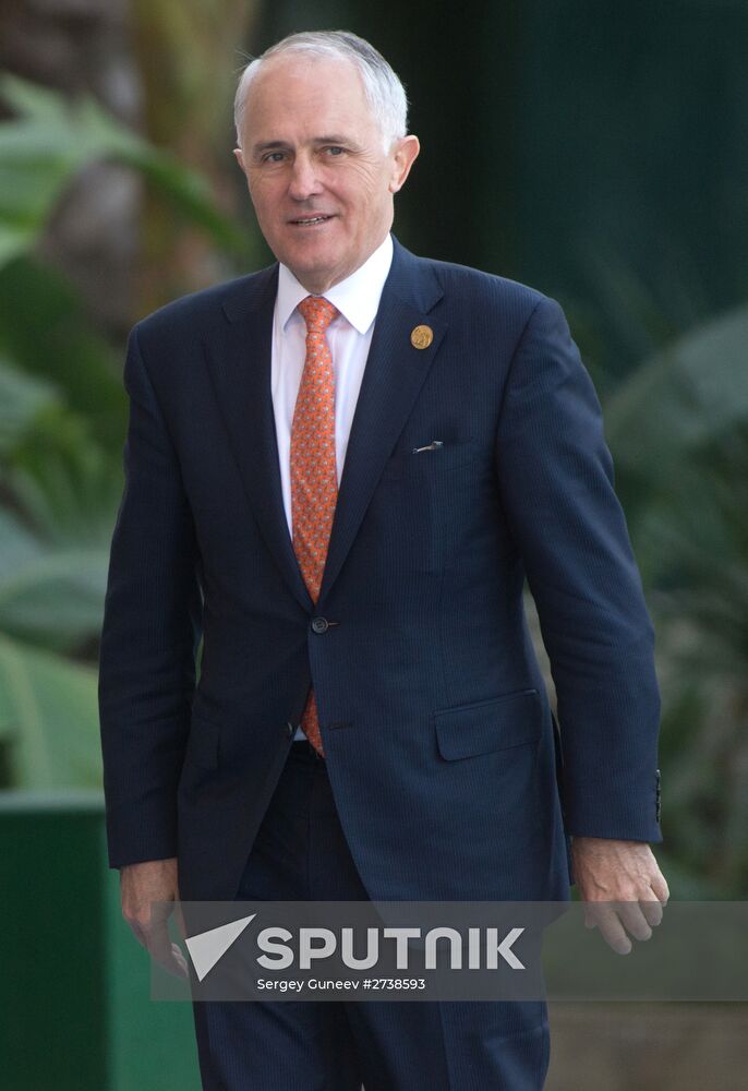 Vladimir Putin takes part in G20 summit in Turkey