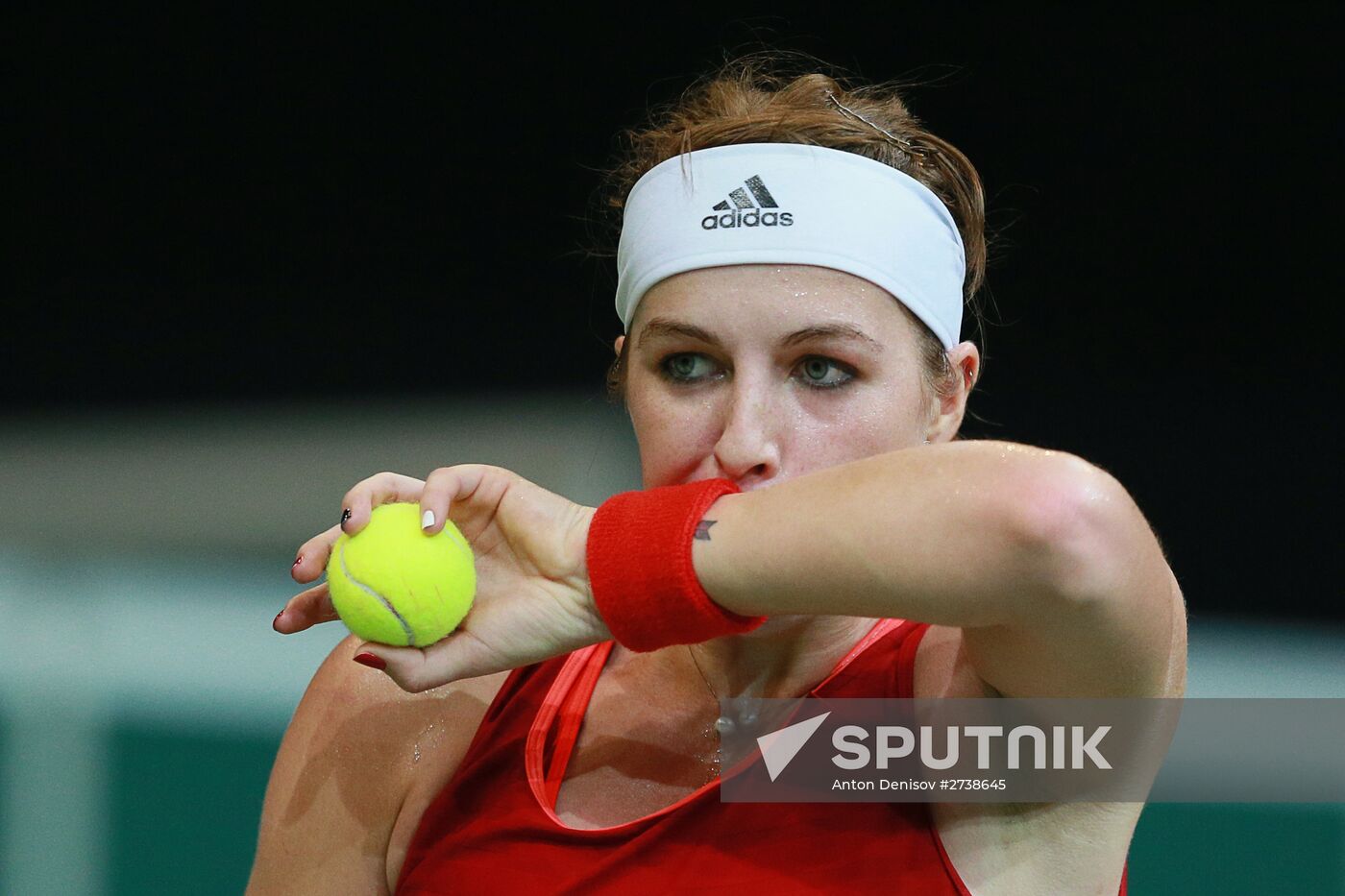 Fed Cup. Finals. Czech Republic vs. Russia. Day 2
