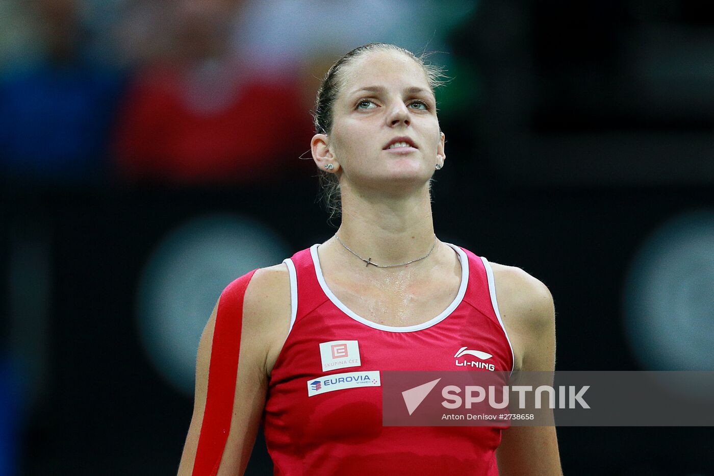 Fed Cup. Finals. Czech Republic vs. Russia. Day 2