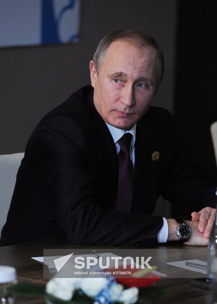 Vladimir Putin takes part in G20 summit in Turkey