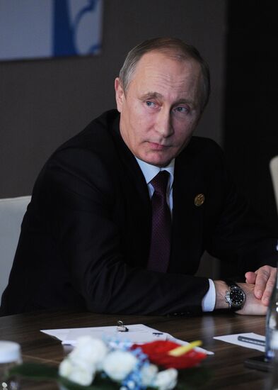 Vladimir Putin takes part in G20 summit in Turkey