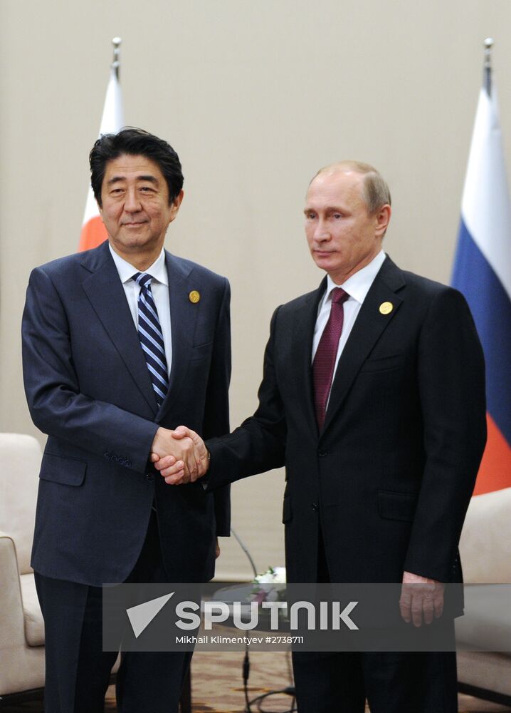 Vladimir Putin takes part in G20 summit in Turkey