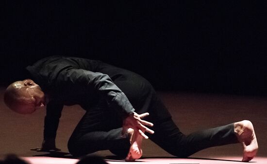 6th Diaghilev P.S. international arts festival opens in St. Petersburg