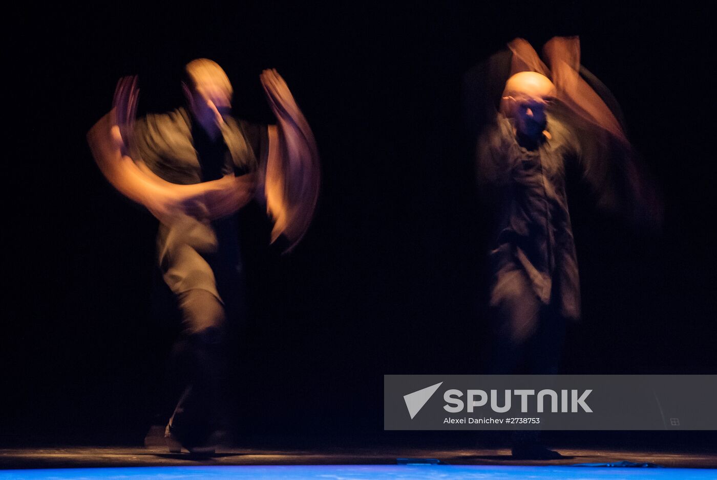 6th Diaghilev P.S. international arts festival opens in St. Petersburg