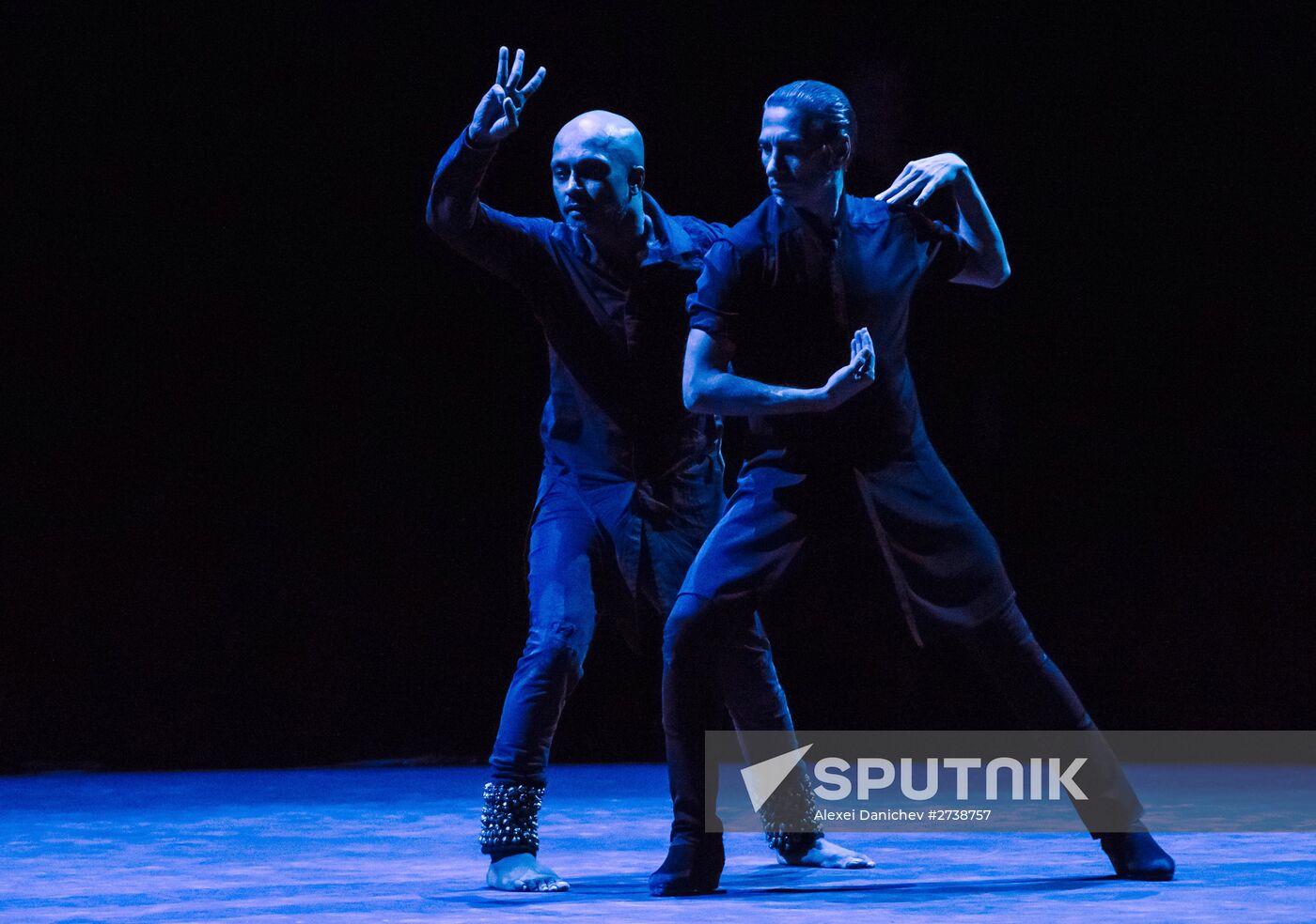 6th Diaghilev P.S. international arts festival opens in St. Petersburg