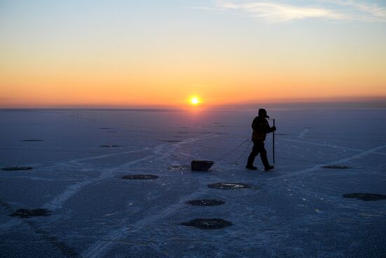 Novosibirsk Region in winter