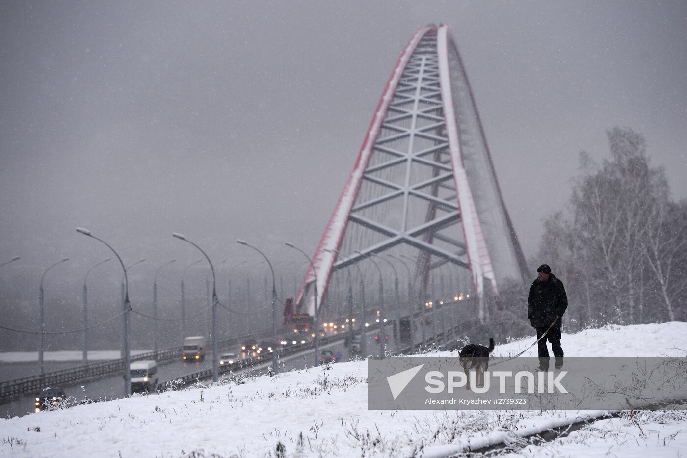 Novosibirsk Region in winter