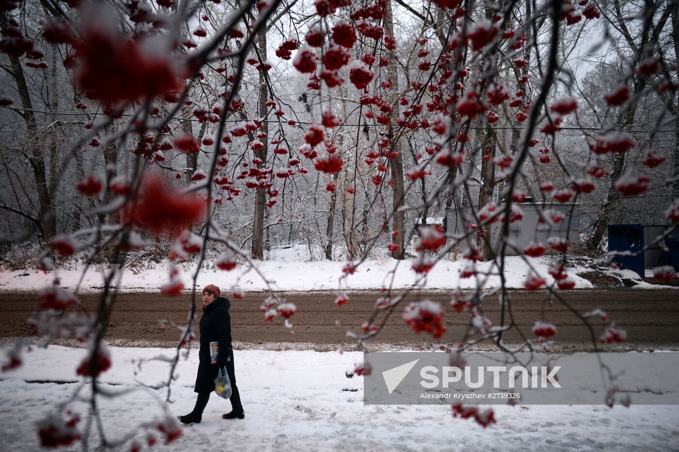 Winter in the Novosibirsk Region