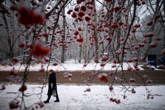 Winter in the Novosibirsk Region