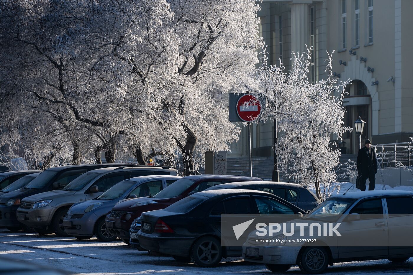 Winter in the Novosibirsk Region